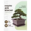 Горшок для бонсай и суккулентов Botanica с поддоном (16.5x16.5x8см/1л, коричневый)