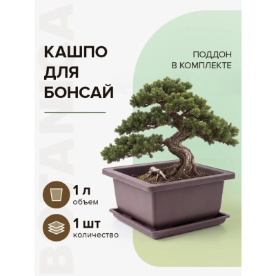 Горшок цветочный Botanica Бонсай с поддоном (16.5x16.5x8см/1л, коричневый)