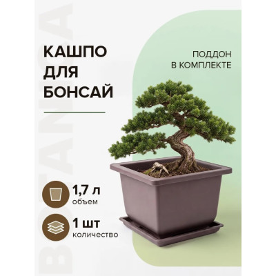Горшок цветочный Botanica Бонсай с поддоном (17x17x12см/1.7л, коричневый)
