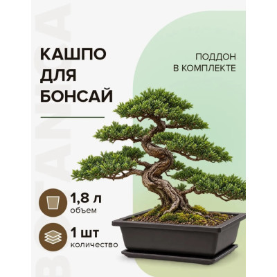Горшок цветочный Botanica Бонсай с поддоном (22.5x16.5x8см/1.7л, коричневый)