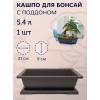 Горшок для бонсай и суккулентов Botanica с поддоном (31.5x23.5x9см/5.4л, коричневый)