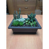 Горшок для бонсай и суккулентов Botanica с поддоном (16x12х6см/0.65л, коричневый)
