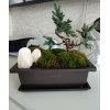 Горшок для бонсай и суккулентов Botanica с поддоном (17x17x12см/1.7л, коричневый)