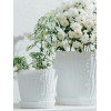 Горшок цветочный BOTANICA Волна рифленый с поддоном (11.5x10см/0.7л, белый)