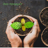 Горшок для рассады из кокосового волокна (d8см) Botanica