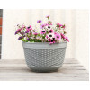 Горшок цветочный BOTANICA Rattan настенный (25x15x16.5см, серый)