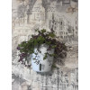Кашпо BOTANICA автополив настенное (14х15см, белый)