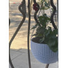 Кашпо BOTANICA Rattan подвесное с дренажной сеткой (21x13.5см, белый)