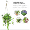 Кашпо BOTANICA подвесное с поддоном (16.5x12.5см/1.7л, бежевый)