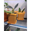 Набор горшков цветочных BOTANICA квадрат мягкий с поддоном (7x7x8см, оранжевый, 5шт)