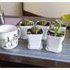 Горшок цветочный BOTANICA квадрат мягкий с поддоном (7x7x8см, белый)
