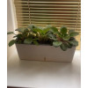 Кашпо BOTANICA автополив квадрат (43.5x15x15см, белый)
