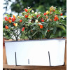 Кашпо BOTANICA автополив квадрат (43.5x15x15см, белый)