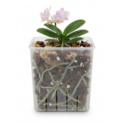 Горшок дренажный BOTANICA Clear квадратный (10.5см, прозрачный)