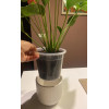 Горшок дренажный Botanica Clear (6х6см/0.1л, прозрачный)