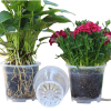 Горшок дренажный Botanica Clear (6х6см/0.1л, прозрачный)