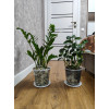 Горшок дренажный Botanica Clear (6х6см/0.1л, прозрачный)