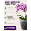 Горшок для орхидей BOTANICA Drop (15x11см/1.3л, прозрачный)