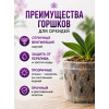 Горшок для орхидей BOTANICA Drop (15x11см/1.3л, прозрачный)