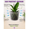 Горшок для орхидей BOTANICA Drop (15x11см/1.3л, прозрачный)