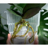 Горшок для орхидей BOTANICA Meshpot (12.5x11см/0.7л, прозрачный)