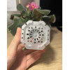 Горшок для орхидей и фиалок BOTANICA (9x9x12.5см/0.59л, прозрачный матовый)