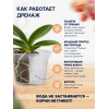 Горшок для орхидей BOTANICA с боковыми прорезями (16x12.7см/1.7л, прозрачный)
