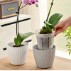Горшок для орхидей BOTANICA с боковыми прорезями (12x9.5см/0.5л, прозрачный)