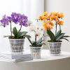 Горшок для орхидей Botanica сетчатый (14x12см/1л, прозрачный)