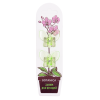 Зажим для орхидей Botanica Бабочка (салатовый/2шт) Зажим для орхидей Botanica Бабочка (салатовый/2шт)