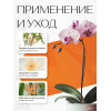 Зажим для орхидей Botanica Бабочка (желтый/2шт)