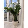 Опора для растений Botanica круглая 45см (3 кольца, металл в пластике, зеленый)
