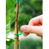 Проволока (подвязка) для растений Botanica пластиковая (15см/100шт)
