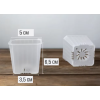Горшок цветочный BOTANICA Compact квадратный (5х6.5cм, прозрачный)