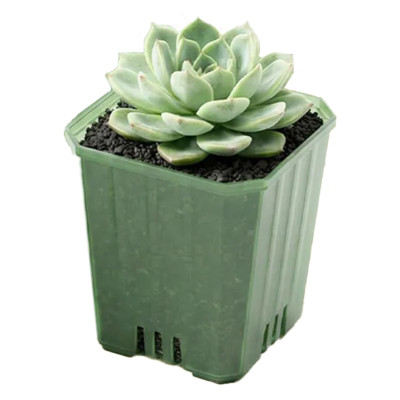 Горшок цветочный BOTANICA Compact квадратный (5х6.5cм, зеленый)