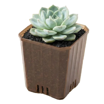 Горшок цветочный BOTANICA Compact квадратный (5х6.5cм, коричневый)