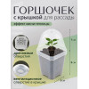 Горшок для рассады BOTANICA "Rostok" с крышкой (7х7х8cм, прозрачный)