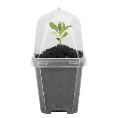 Горшок для рассады BOTANICA "Rostok" с крышкой (7х7х8cм, прозрачный) Горшок для рассады BOTANICA "Rostok" с крышкой (7х7х8cм, прозрачный)