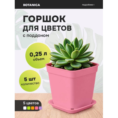Набор квадратных горшков для цветов с поддоном Botanica, 0.25 л, розовый (5 шт.)
