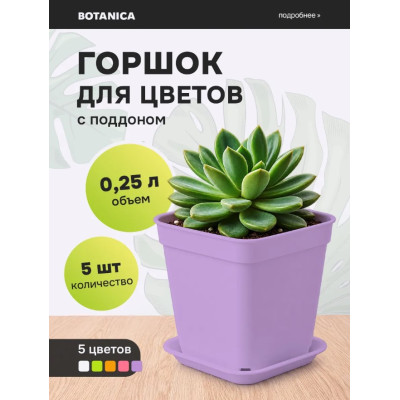 Набор квадратных горшков для цветов с поддоном Botanica, 0.25 л, фиолетовый (5 шт.)