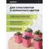 Набор горшков цветочных BOTANICA квадрат мягкий с поддоном (7x7x8см, розовый, 5шт)
