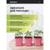 Набор горшков цветочных BOTANICA квадрат мягкий с поддоном (7x7x8см, розовый, 5шт)