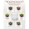Набор горшков для рассады BOTANICA (5.5х4.8см, прозрачный), 10шт.